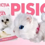 Colectia Pisici de plus