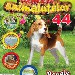 Beagle - Colectia "Lumea animalutelor" de plus