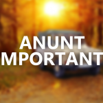 Anunt important pentru colectionarii colectiei Macheta ARO 240