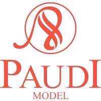 Producatorul Paudi | Machete auto de înaltă calitate