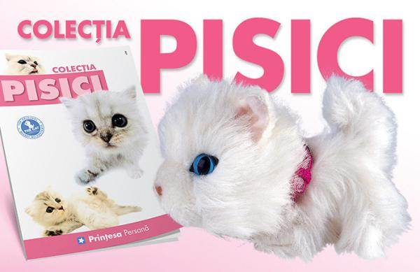 Colectia Pisici de plus