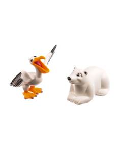 Animale marine nr.8 - Pelicanul