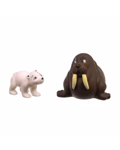 Animale marine nr.14 - Morsa