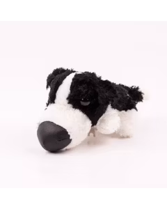 Catei de plus nr. 5 - Border Collie