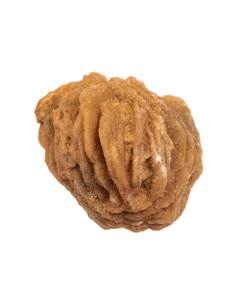 Mineralele pamantului nr.16 - Ghips (Trandafir de desert)