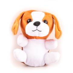 Magiki Prietenii tai pufosi Nr. 1 - Catelusul Patch