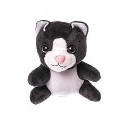 Magiki Prietenii tai pufosi Nr. 14 - Motanul Kasper