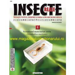 Insecte reale nr. 1 - Scorpionul manciurian auriu