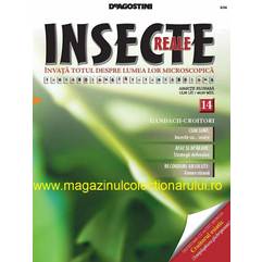 Insecte reale nr.14 - Gandacii croitori