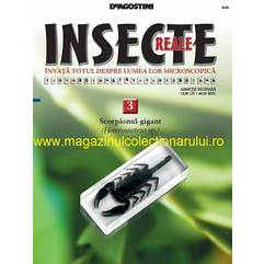 Insecte reale nr. 3 - Scorpionul Gigant