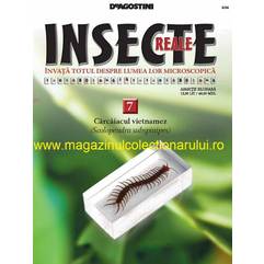 Insecte reale nr. 7 - Carcaiacul vietnamez