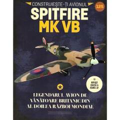 Supermarine Spitfire MkVb Nr.125