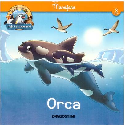 Animale marine nr.2 - Pesti-Marele Rechin Alb - coperta