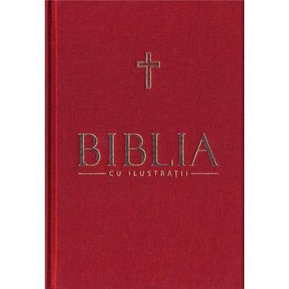 Biblia cu ilustratii - Vol. 4