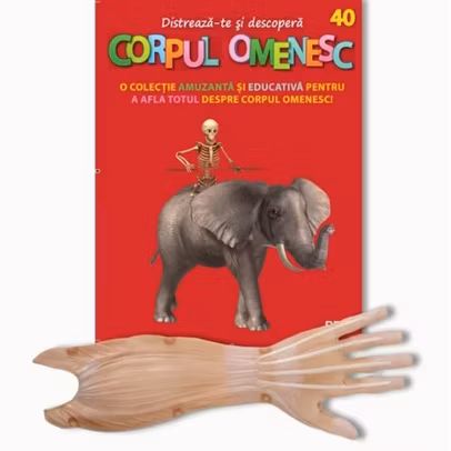 Distreaza-te si descopera corpul omenesc Nr. 40 - ed. 2024