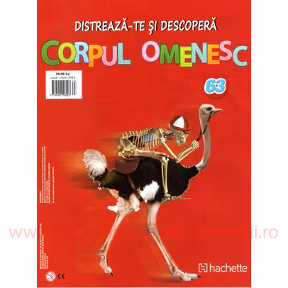 Distreaza-te si descopera Corpul Omenesc 2016 nr.63 - Spatele