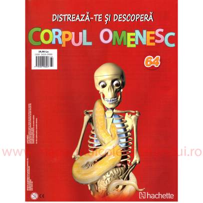 Distreaza-te si descopera Corpul Omenesc nr.64 