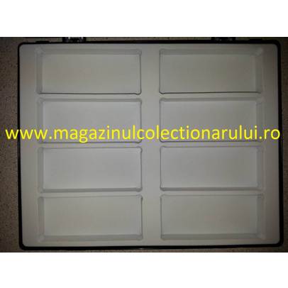 Cutie pentru Insecte reale format mare