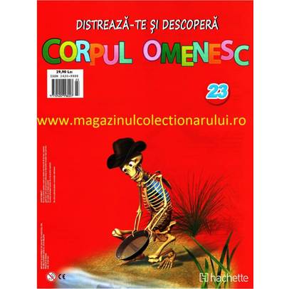 Distreaza-te si descopera corpul omenesc Nr.23 - Clavicula si omoplatul drept