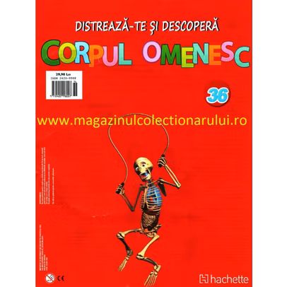 Distreaza-te si descopera corpul omenesc 2016 Nr.36 - Bratul posterior stang