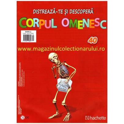 Distreaza-te si descopera corpul omenesc 2016 Nr.40 - Trunchiul posterior