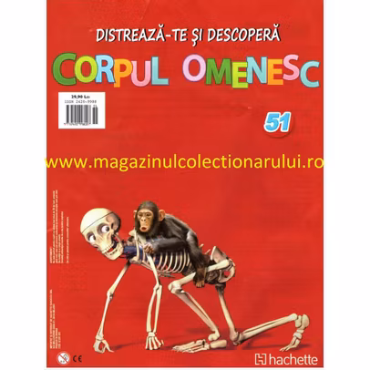 Distreaza-te si descopera corpul omenesc 2016 Nr.51 - Laba piciorului stang