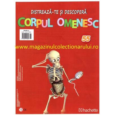 Distreaza-te si descopera corpul omenesc 2016 Nr.55 - Gamba posterioara dreapta