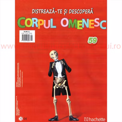 Distreaza-te si descopera Corpul Omenesc 2016 nr.59 - Bratul posterior drept