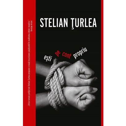 Stelian Turlea - Esti pe cont propriu