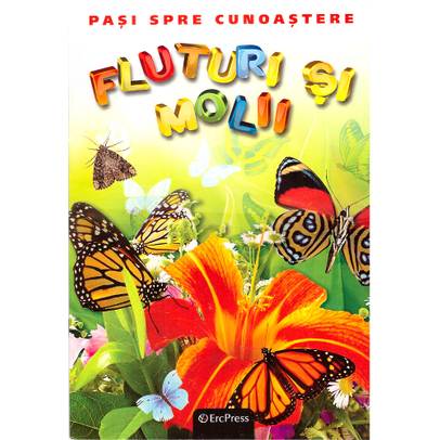 DVD Enciclopedia Junior - Pasi spre cunoastere - Fluturi si Molii