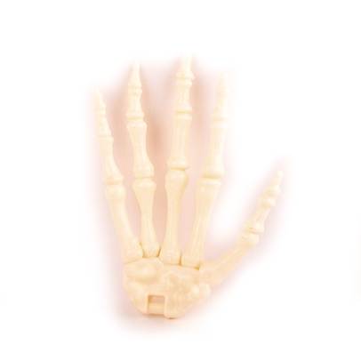 Distreaza-te si descopera corpul omenesc Nr.27 - Palma dreapta