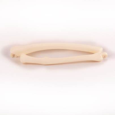 Distreaza-te si descopera corpul omenesc Nr.18 - Radius si cubitus - partea stanga