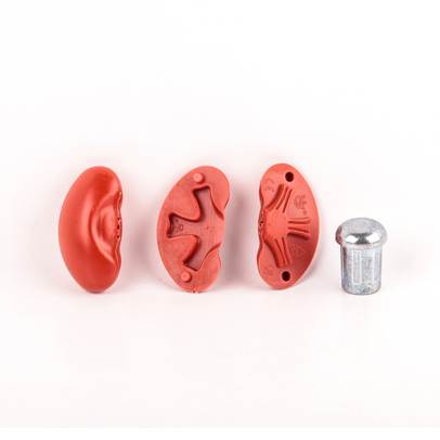 Distreaza-te si descopera corpul omenesc Nr.13 - Rinichii, O greutate pentru platforma