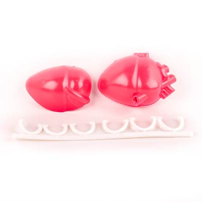 Distreaza-te si descopera corpul omenesc Nr. 8 - Inima (2 Piese), Discurile 3 (Dorsale inferioare)