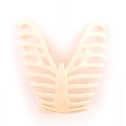 Distreaza-te si descopera corpul omenesc Nr. 9 - Sternul, Tija de sustinere a scheletului ( 2 Piese+Opritor )