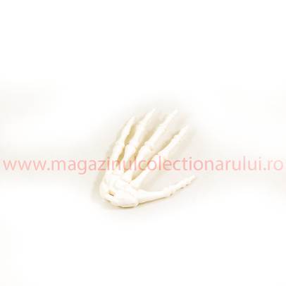 Distreaza-te si descopera corpul omenesc Nr.19 - Mana stanga ( Palma )