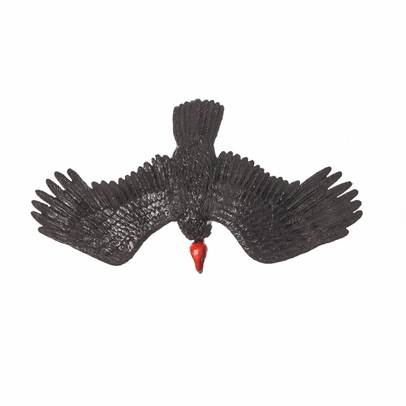 Falcons & Co. DeAgostini - Condorul Californian