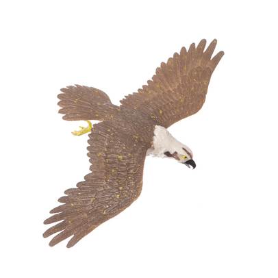 Falcons & Co. DeAgostini - Vulturul Pescar