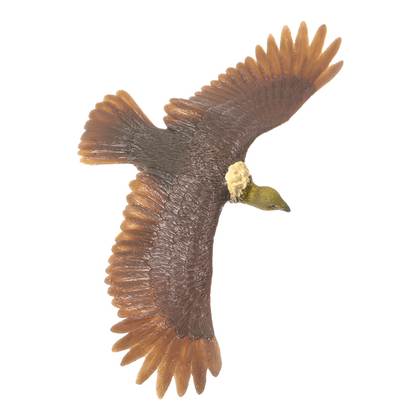 Falcons & Co. DeAgostini - Vulturul Plesuv