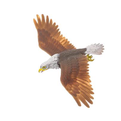 Falcons & Co. DeAgostini - Vulturul cu cap alb