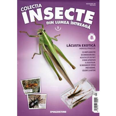 Insecte din lumea intreaga nr.5 - Lacusta exotica