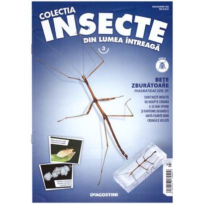 Insecte din lumea intreaga nr.3 - Bete zburatoare