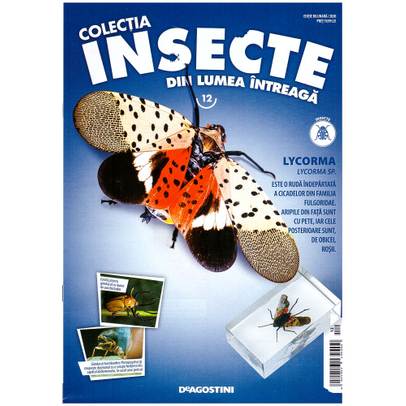 Insecte din lumea intreaga nr.12 - Lycorma