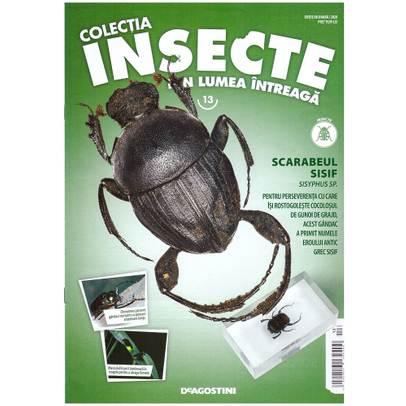 Insecte din lumea intreaga nr.13 - Scarabeul Sisif - coperta