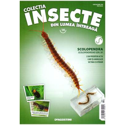 Insecte din lumea intreaga nr.14 - Scolopendra