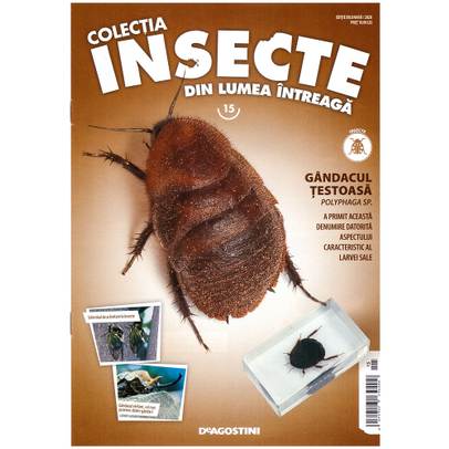 Insecte din lumea intreaga nr.14 - Scolopendra - coperta+macheta
