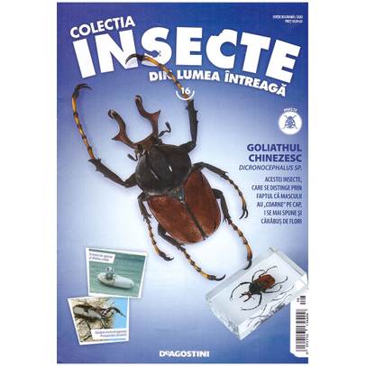 Insecte din lumea intreaga nr.14 - Scolopendra - coperta+macheta
