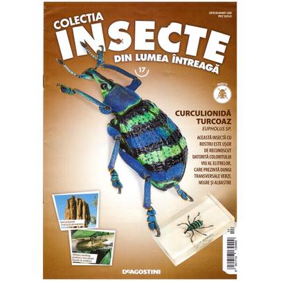 Insecte din lumea intreaga nr.14 - Scolopendra - coperta+macheta