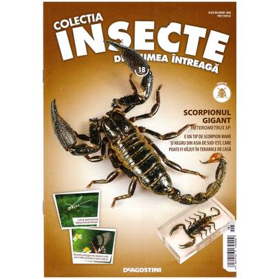 Insecte din lumea intreaga nr.14 - Scolopendra - coperta+macheta