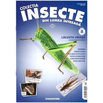 Insecte din lumea intreaga nr.11 - Lacusta uriasa